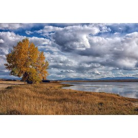 Historic Pictoric Photo - Autumn Splendor Along Cowdrey Reservoir, Near The Tiny Town of The Same Name in Jackson County, Colorado- Fine Art Photo Reporduction 36in x 24in