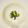 77mm Whirlpool Glass Prism Kaleidoscope Lens Filter Optical Glass Lens