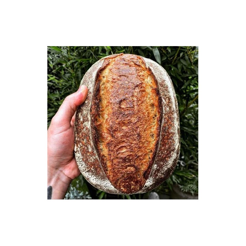 Levadura Instantanea, Le 5 Stagioni, Levadura Seca, 500g
