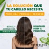 Vitacilina Capilar Shampoo Purificante │ Retinol + Sábila + Romero