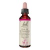 Bach Flowers Star of Bethlehem Drops 20 ml