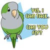 CafePress Can You Fly Quaker Parrot Rectangle Magnet, 3"x2" Refrigerator