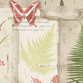 Manhattan comfort NWFK34416 Deerfield Series Vinyl Leaf and Butterfly Design Large Wallpaper Roll, 20.5" W x 32.7' L, Green/Red/Gray Beige