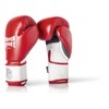 Paffen Sport FIT Boxing Gloves with Breathable Mesh Palm for