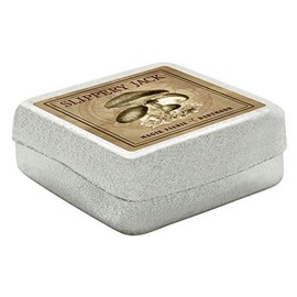 MyTinyWorld Dolls House Miniature Apothecary Slippery Jack Fungi Sepia Box