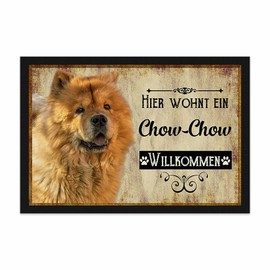PR Print Royal Doormat Pets with Dog Picture Chow Chow - Gift Idea for Dog Lovers and Dog Owners - Size 60 x 40 cm