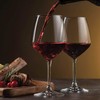 Bormioli Rocco Italian Red Wine Glasses 18 Ounce (Set of