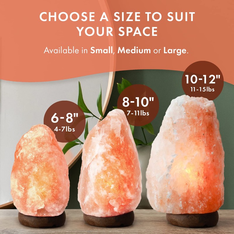 The Body Source Himalayan Salt Lamp 6-8 Inches (4-7lb) |
