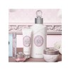 Body Milk 250mL, choose 1 of 3 types / 바디