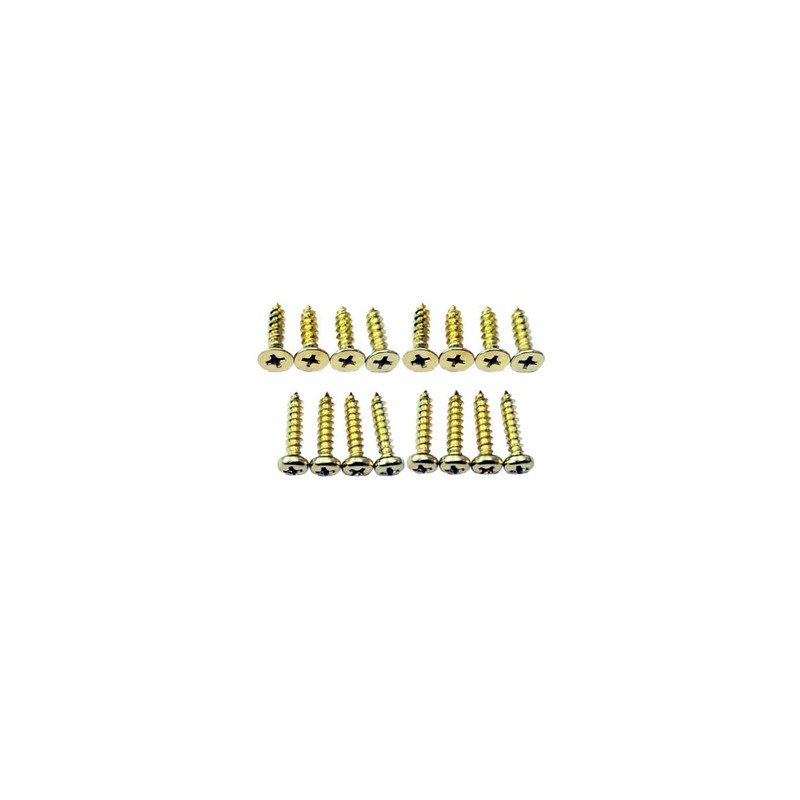QCAA Cafe Door Gravity Pivot Hinge Set, Double Action, Brass