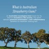 Bondi Boost Strawberry Gum HG Miracle Hair Mask 250ml