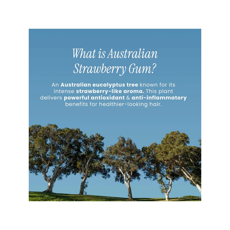 Bondi Boost Strawberry Gum HG Miracle Hair Mask 250ml