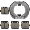 Celox for Honda TRX250EX Sportrax 250 EX 2001-2008 Front Brake