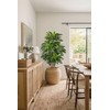 5FT Tall Artificial Dracaena Tree, Lifelike Faux Indoor Fake Floor
