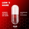 5H8 Nutrition Lion's Mane | 90 Cápsulas | Suplemento Alimenticio