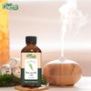 Organic Zing Pine Needle Essential Oil Pure & Natural for