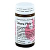 Silicea PHCP Globules 20 g