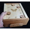 The Butterfly Puzzle Box –With Customizable Combinations
