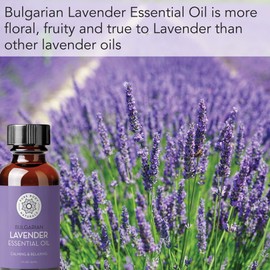 Bulgarian Lavender Essential Oil by Pure Body Naturals, 1 Fluid Ounce - 100% Pure, Independently Tested, Therapeutic Grade Lavender Essential Oil for Diffuser Aromatherapy