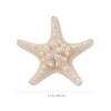 NUOBESTY 7pcs Shell Fridge Magnets Seashell Conch Star Decor Stickers