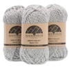 (3 Small Gorgeous Skeins) Alpaca Yarn Blend Umayo [165 Yards