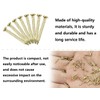 AOYEGIC 100 g nails, small mini nail for hanging pictures,
