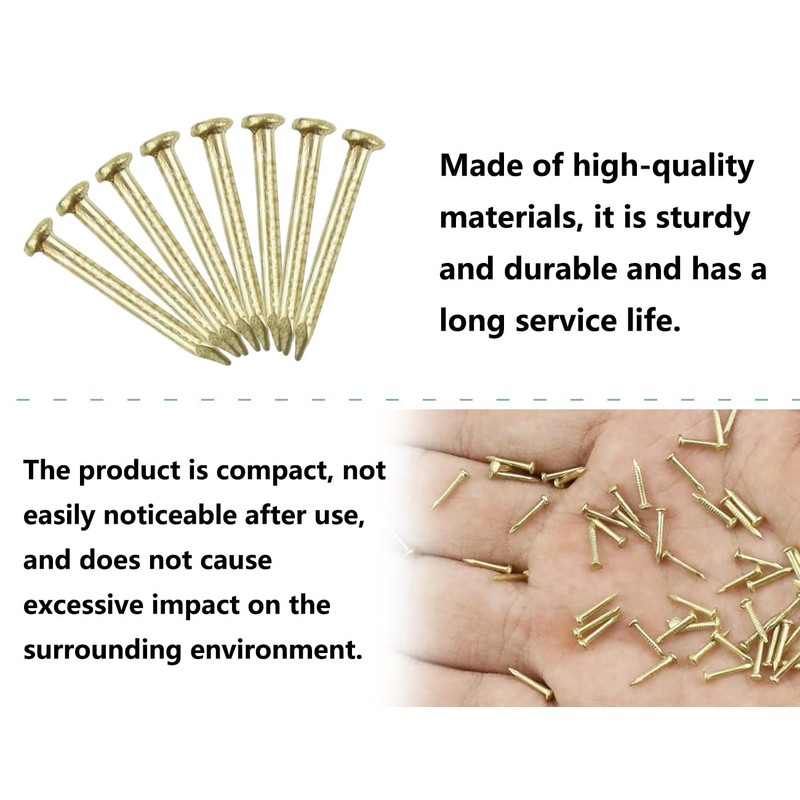 AOYEGIC 100 g nails, small mini nail for hanging pictures,