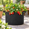 Felt Grow Bags for Vegetables, Strawberries & Flowers – Breathable