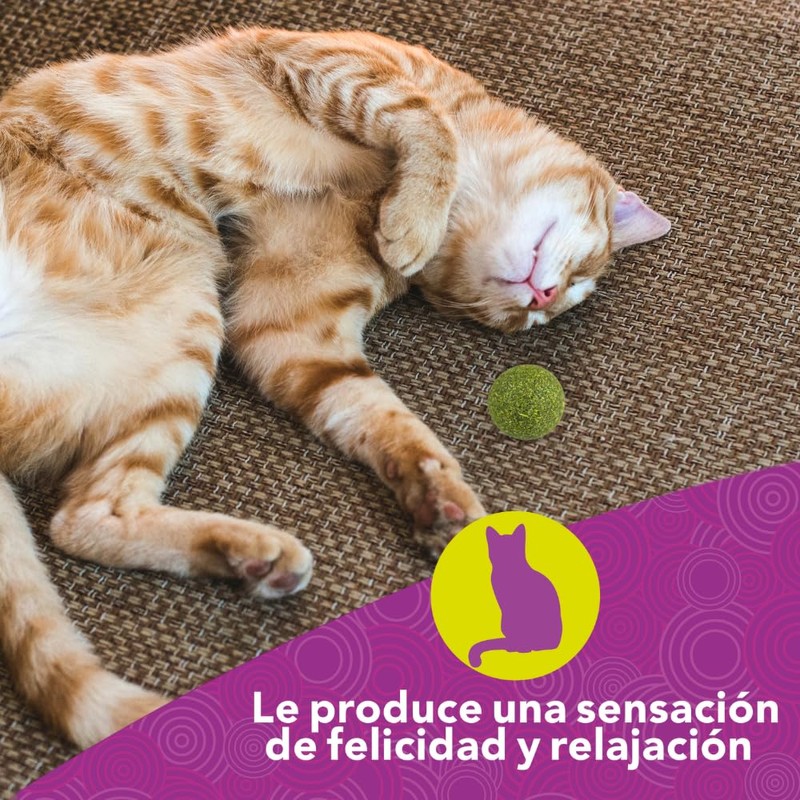 Fancy Pets ESFERAS DE Catnip Med 3 PZ