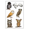 Premium Owl Temporary Tattoos, Party Favors