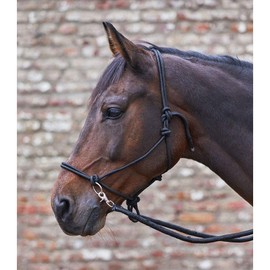 WALDHAUSEN Knot Halter with Reins black Size:VB