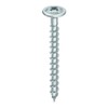 HECO-TOPIX-plus 4.5 x 50, rear wall screw, Pozi-Drive, VVG, A3K,