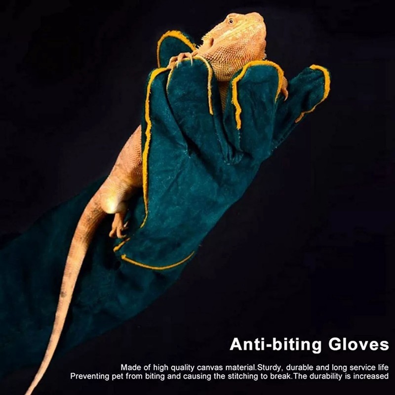 Bite Proof Pet Gloves Non Scratch for Handing Groming Electric