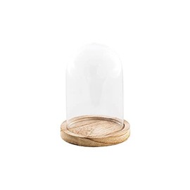 Chaks Paulownia 10 x 13.7 cm Glass Bell on Wooden Stand, Beige