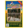 Everwilde Farms - 1000 Brown Fox Sedge Native Grass Seeds