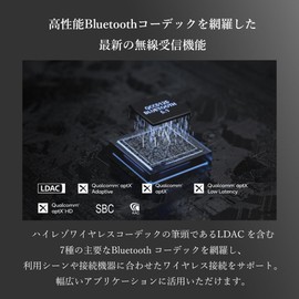 FiiO BR13 FIO-BR13 [Official Japan Domestic Product with Serial Number] FiiO Bluetooth Receiver Bluetooth Receiver USB DAC Audio LDAC aptX adaptive Hi-Res Hi-Res Wireless Low Noise UAC1.0