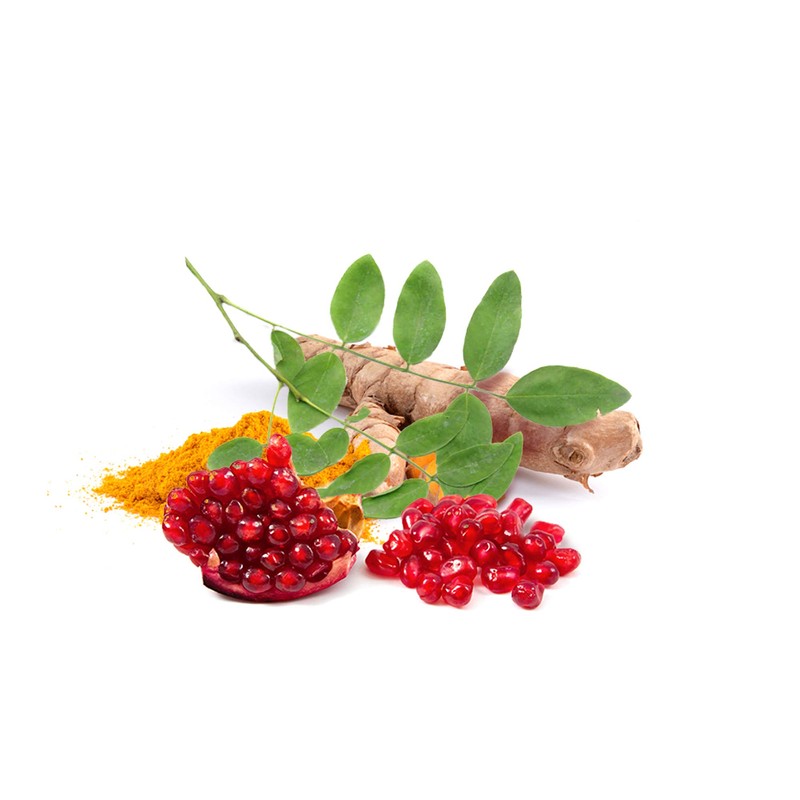 WPLANTS Complex Antioxidants High Dose Extracts of Turmeric, Pomegranate, Japanese