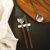 Iris Color Handle Stainless Steel Cutlery Set (Spoon + Chopsticks)