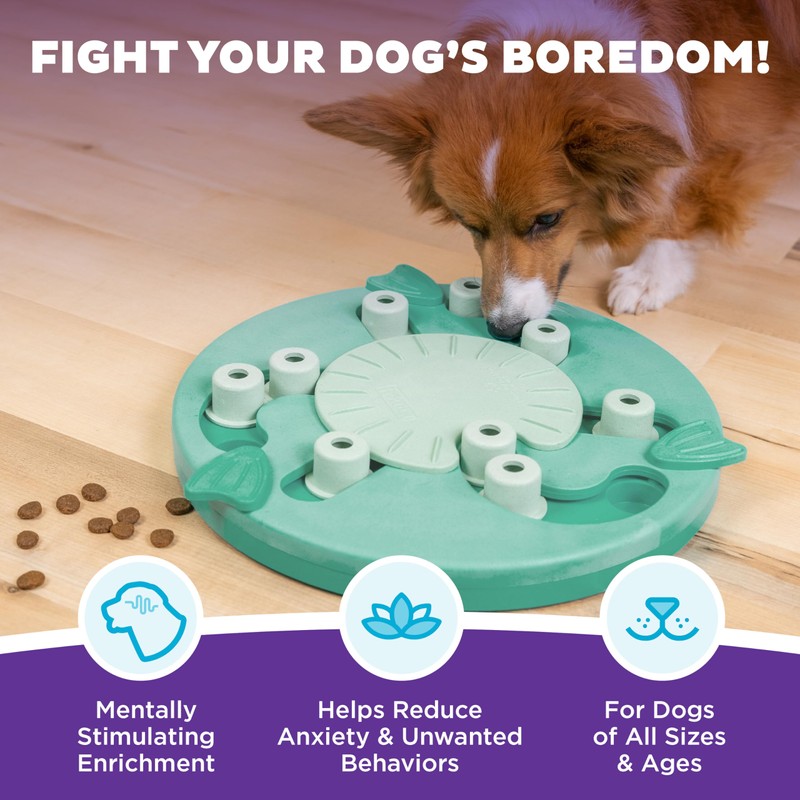 Outward Hound by Nina Ottosson Dog Worker Treat Puzzle Enrichment