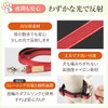 PetPilala Dog Lead, Walking, Training, Training, 2 Handles, Night Reflection