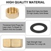 Brass Cap, Pack of 12 Drain Preventer Blanking Plugs, 3/4