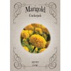 Set of Marigold CrackerJack Seed Packets - Create Your Dream