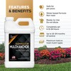 DOMINATOR Mulch Anchor 2.5 Gallons - Mulch Glue and Pea