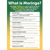 Lunakai USA Made Pure Moringa Capsules – Advanced Moringa Leaf