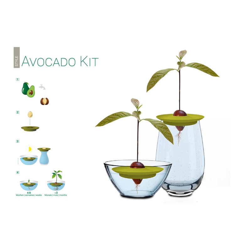 Romberg Avocado Kit | for Growing Avocado Plants | Free