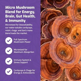 Medicinal Foods Micro Mushroom Blend for Immunity, Energy, Brain, & Gut Health | Full Spectrum Micronized Medicinal Mushrooms | H20 Soluble Cordyceps Reishi Chaga Lions Mane | Organic & Non-GMO | 200g