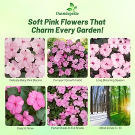 Outsidepride Impatiens Baby Pink Flower Seeds - 1000 Pcs Annual, Compact & Pollinator Friendly, Impatiens Seeds for Planting w/Vibrant, Abundant Blooms for Shade Gardens & Container Displays