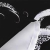 Octopus Decor Shower Curtain for Bathroom, Funny Black and White
