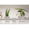 3-Pack Ceramic Plant pots Set - 6.5"+5.3"+4" Dual-Tone Flower Pots
