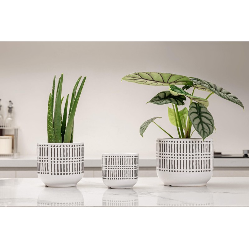 3-Pack Ceramic Plant pots Set - 6.5"+5.3"+4" Dual-Tone Flower Pots